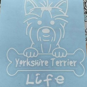 6x6 Yorkie window wall or object decal sticker